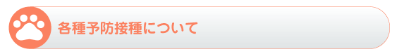 各種予防摂取について
