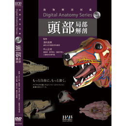 DVD版デジタルアナトミー、犬頭部局部解剖